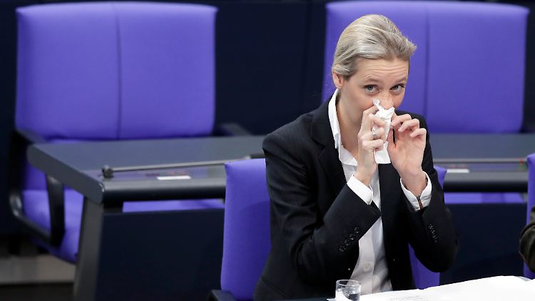 Weidel schaltete erst in die Vorwärtsverteidigung - doch die Attacke verpuffte.
