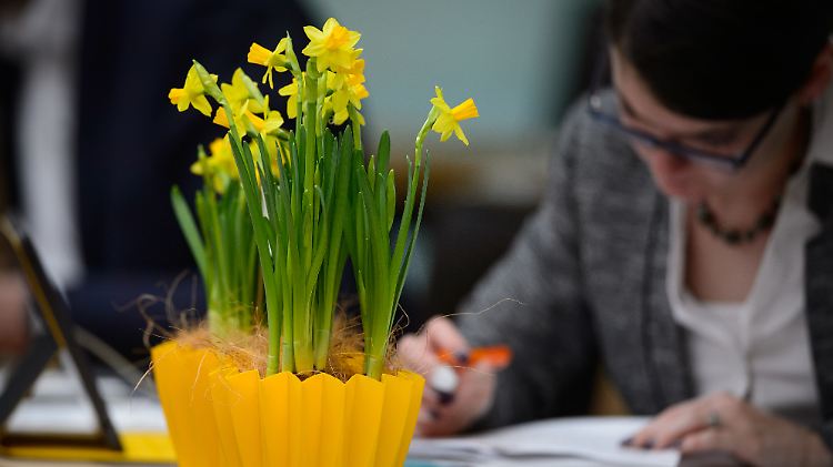Zum Frauentag gab es im baden-württembergischen Landtag in diesem Jahr bloß Blumen - in Berlin könnten im nächsten Jahr zu diesem Anlass alle frei haben.