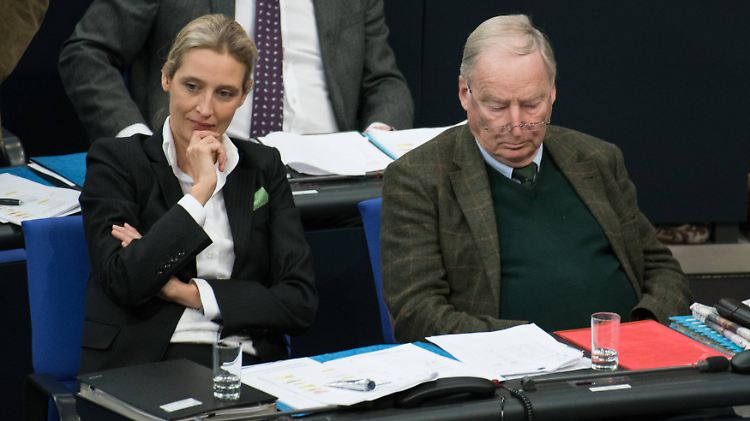 Ein Vertrauter von AfD-Bundestagsfraktionschefin Weidel soll bei einem umstrittenen Verein für Parteispenden geworben haben.