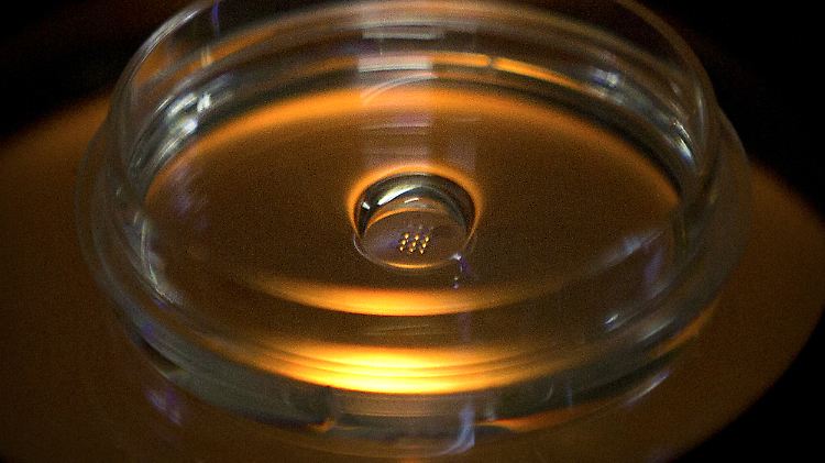 Der chinesische Wissenschaftler He Jiankui behauptet, bei Embryonen erfolgreich ein Gen inaktiviert zu haben.