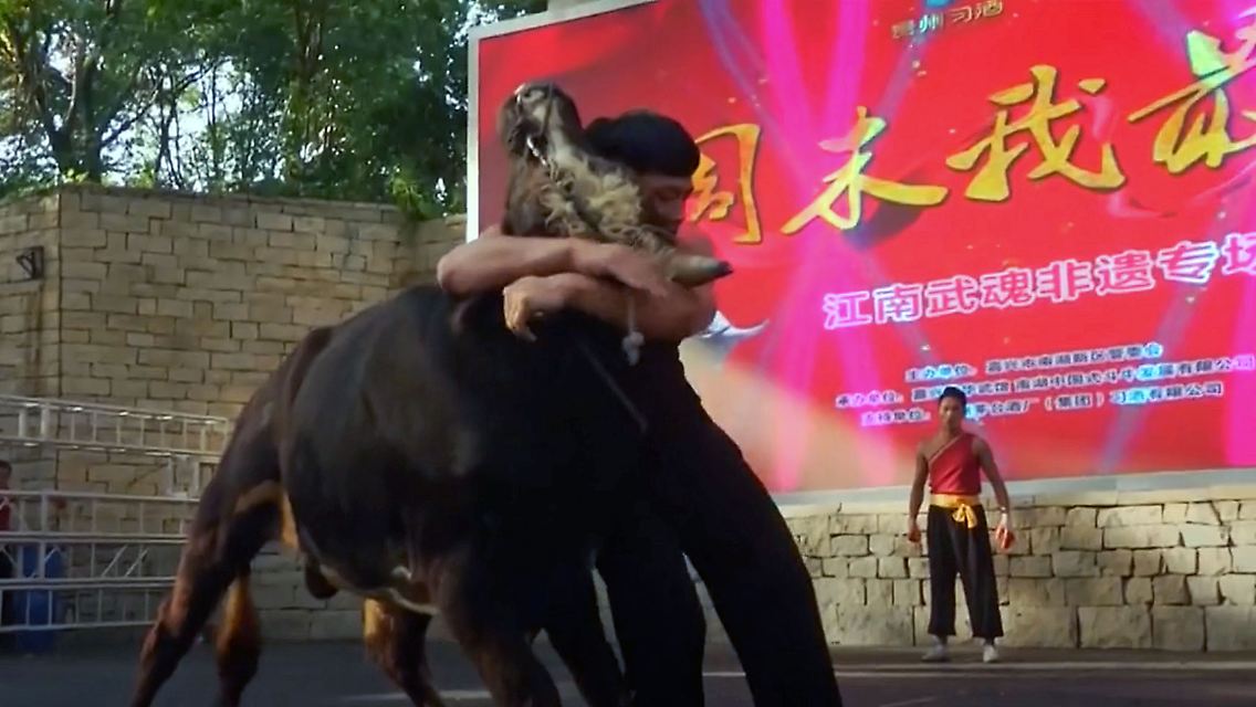 StierkampfChina.jpg
