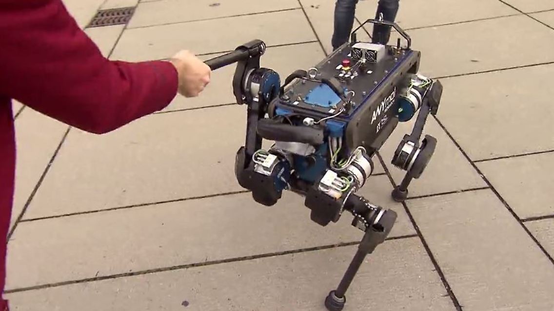 roboterhund.JPG