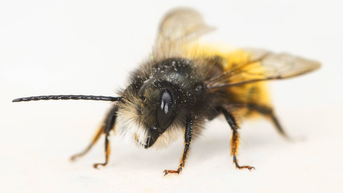 imago73675786h.jpg