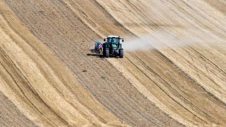 Die Dürreschäden in der Landwirtschaft beziffert der Bauernverband auf drei Milliarden Euro.