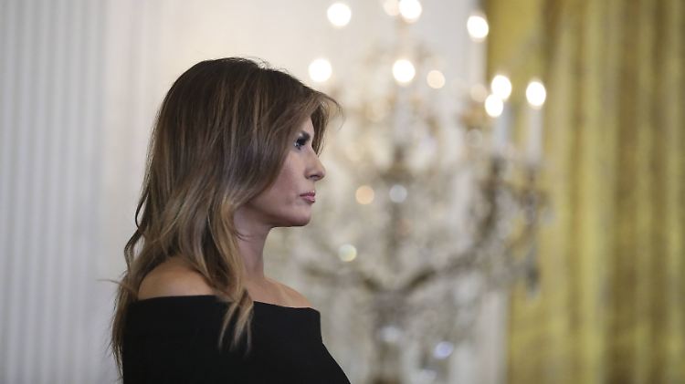 Melania ist seit 2005 mit Donald Trump verheiratet.
