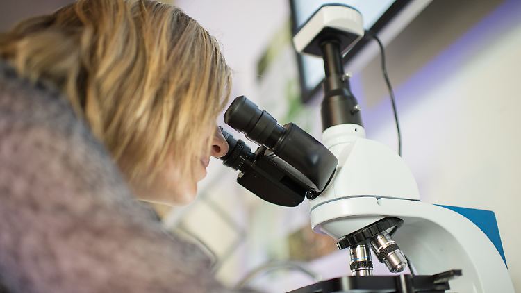 Frauen sind vor allem in zukunftsträchtigen Berufen, die eine technologische und mathematische Ausbildung erfordern, stak unterrepräsentiert.