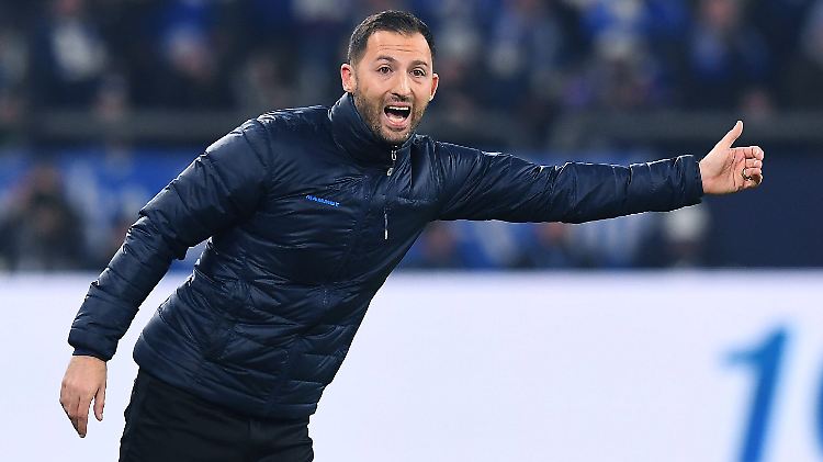 Da geht's lang. Aber wohin fürht der Schalker Weg? Domenico Tedesco.