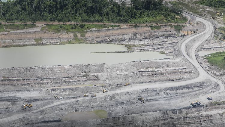 Abgeholzte Fläche im tropischen Regenwald auf Borneo, Indonesien: Hier geht Lebensraum für viele Arten verloren.