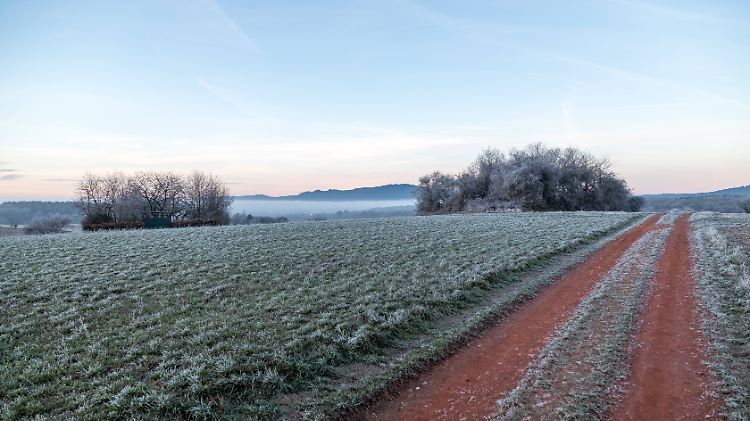 Zum Jahreswechsel bleiben die Temperaturen vielerorts mild.