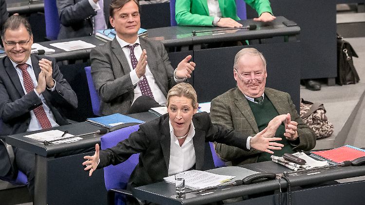 Seit dem Einzug der AfD gab es im Bundestag deutlich mehr Ordnungsrufe.