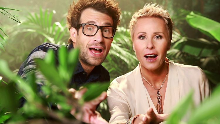 Vielleicht haben sie sogar schon gepackt: Daniel Hartwich und Sonja Zietlow.