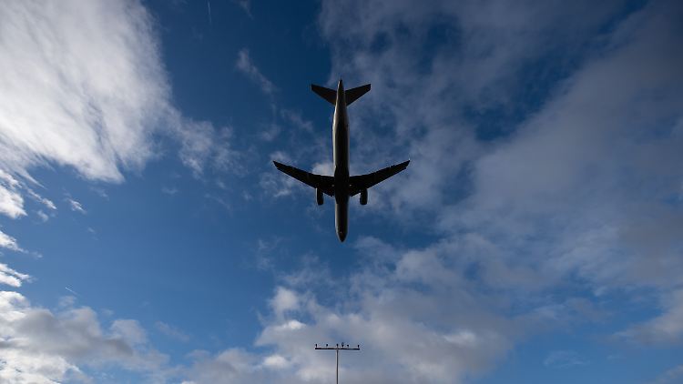 113588809.jpg