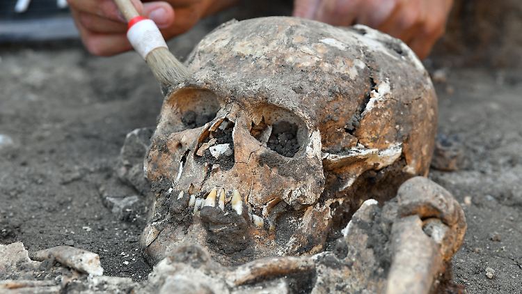 Ausgrabungen im Hof der Burg Querfurt in Sachsen-Anhalt im vergangenen Sommer. Dort wurden Gräber aus dem 17. Jahrhundert sowie Munition aus dem Dreißigjährigen Krieg geborgen.