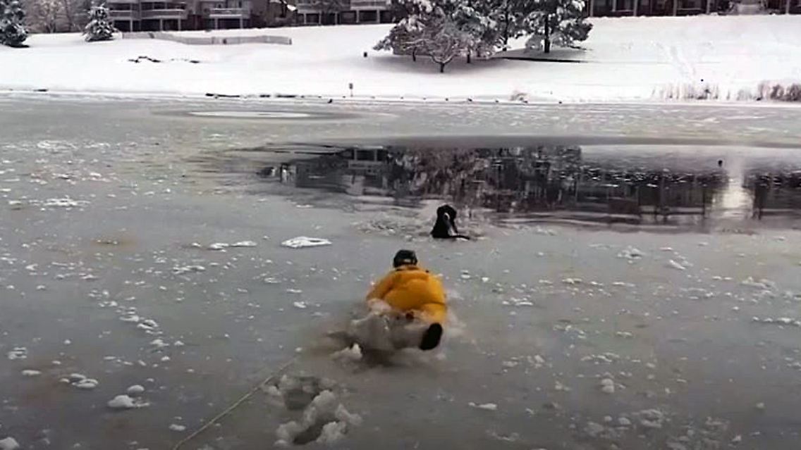 hund feuerwehr.JPG
