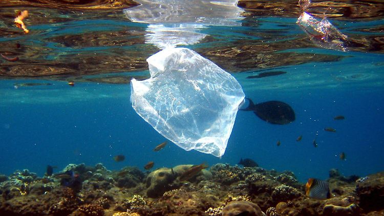 Plastiktüte im Meer: Bisher glaubten Forscher, Schildkröten würden sie vom Aussehen her mit Nahrung verwechseln. Die Untersuchung legt auch einen anderen Grund nahe.