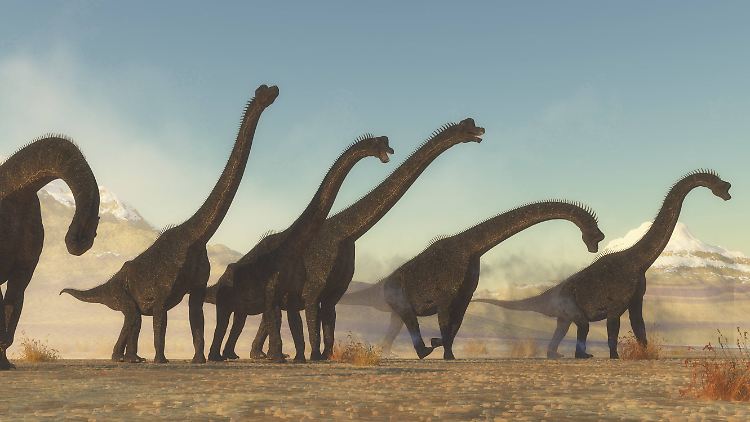 Riesige Pflanzenfresser, Sauropoden genannt, fraßen Baumkronen kahl, zertrampelten Gehölze und hielten damit offene Flächen für andere Pflanzenarten frei.