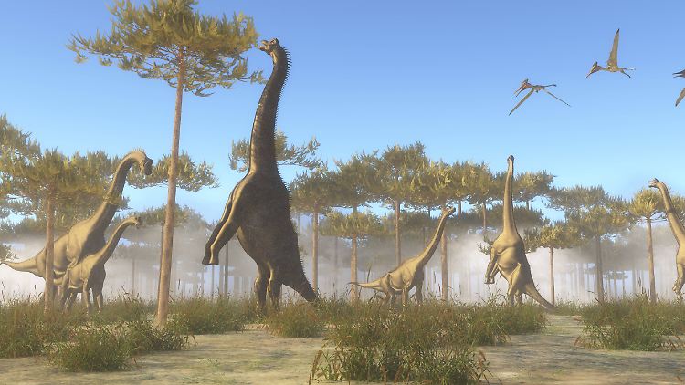 War die Vegetation zur Zeit der Dinosaurier reichhaltiger als heute? Neuste Forschungen schließen das als Grund für den Gigantismus aus.