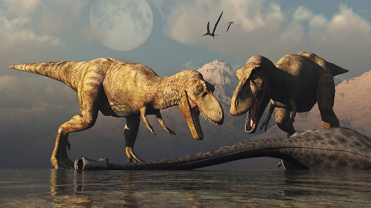 Große Beute, große Räuber: Fleischfressende Dinosaurier wie der Tyrannosaurus Rex waren Nutznießer des Gigantismus und wurden selbst gewaltig.