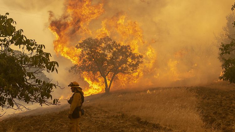Die verheerenden Waldbrände in Kalifornien wurden auch durch den Klimawandel begünstigt.