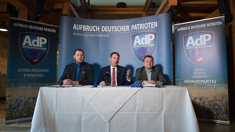 Die AdP setzt auf die Kornblume - wie schon etliche deutschtümelnde und nationalsozialistische Vereine. Auch eine SS-Division verwendete das Symbol.