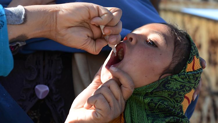 2019 könnte das Jahr sein, in dem es gelingt, das Poliovirus in Afghanistan und Pakistan zu besiegen.