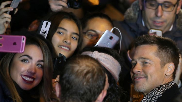 Es gibt recht viele Frauen, die auf Brad Pitt stehen. Doch angeblich hat er sein Herz nun wieder an eine einzige vergeben.