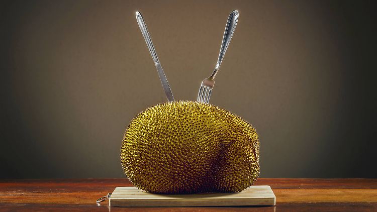 Auf Sri Lanka, in Indonesien und Thailand gehört die Jackfruit zu den Grundnahrungsmitteln. Nun drängt sie als Fleischersatz auch auf den europäischen Markt. 