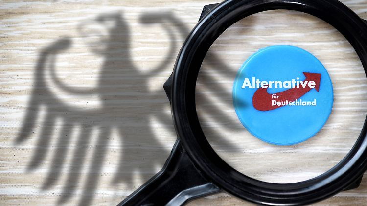 Der Verfassungsschutz hatte Mitte Januar die AfD insgesamt zum "Prüffall" erklärt.
