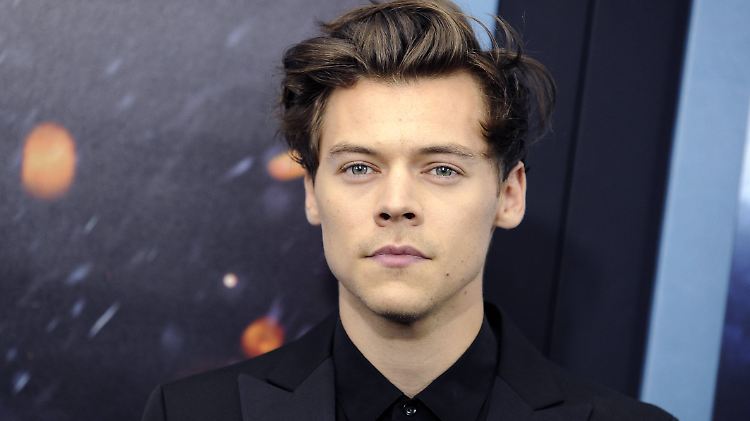 Was Harry Styles wohl über die Aktion denkt?