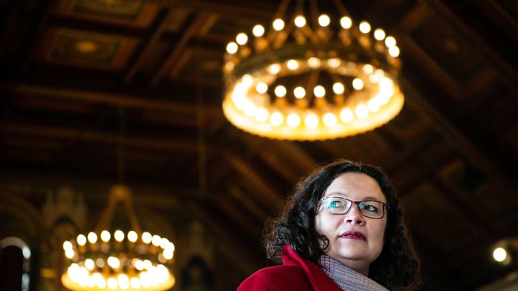 Krönt sich Nahles irgendwann zur Kanzlerin? Im Moment sieht es nicht danach aus.