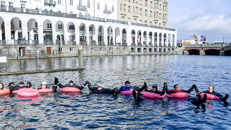 Für die Gewerkschaftsforderungen sprangen Demonstranten in Hamburg in die eiskalte Alster.