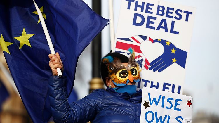 Kein Monster, sondern eine Eule, die bei dieser Brexit-Gegnerin Weisheit bei den schwierigen Verhandlungen anmahnen soll.