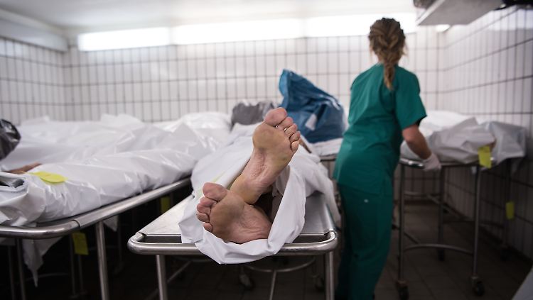 Leichenschauen sind aufwendig, doch werden schlecht bezahlt. 