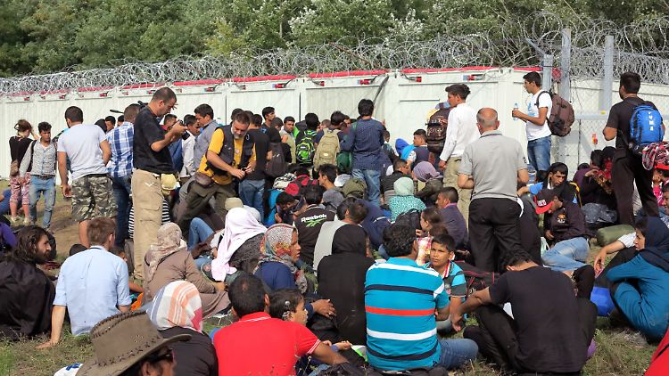 Die Transitzonen in den Grenzorten Rözke (Bild) und Tompa sind die einzigen Einrichtungen, in denen Menschen in Ungarn Asyl beantragen können.