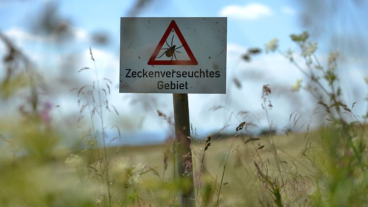 Menschen sollten um hohes Gras und Unterholz einen Bogen machen. Helle und geschlossene Kleidung beugt zudem Zeckenstichen vor.