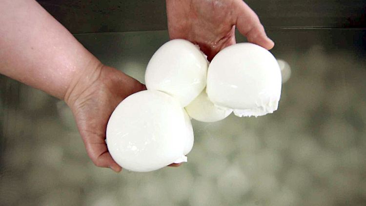 Zu Beginn war es eine Herausforderung, den britischen Gaumen an den heimischen Mozzarella zu gewöhnen (Archivbild).