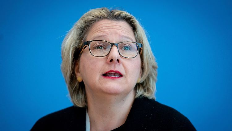 "Wir Menschen brauchen die Insekten", sagt Umweltministerin Schulze.