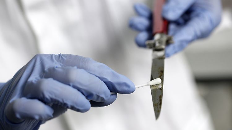 Eine Labormitarbeiterin nimmt eine DNA-Probe von einem Messer. 