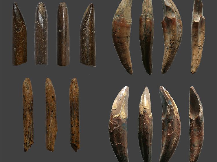 Werkzeuge aus Affenknochen und Affenzähnen, die in den Erdschichten aus dem Jungpleistozän in der Fa-Hien-Höhle auf Sri Lanka gefunden wurden.
