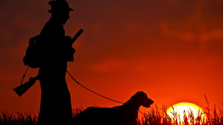 Welche Folgen der fahrlässige Umgang mit Waffen haben kann, spürt nun ein Jäger aus Sachsen.