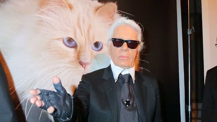 Lagerfeld vergötterte seine Katze: Choupette führte ein luxuriöses Leben auf vier Pfoten, von dem andere Haustiere nur träumen können.