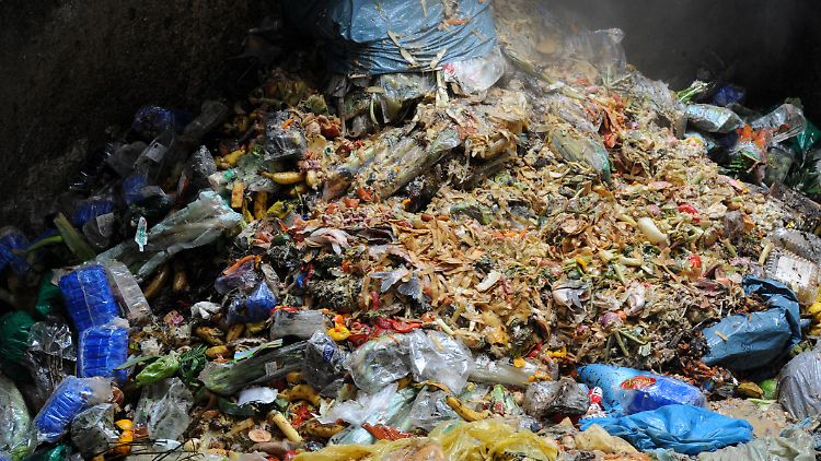 Lebensmittelabfälle in einer Biogasanlage: Daraus lässt sich auch Kraftstoff herstellen.