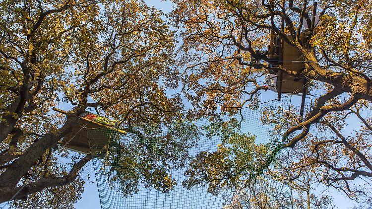 Besetzer haben im Hambacher Forst Baumhäuser errichtet.