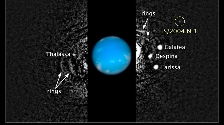 Die Grafik der Nasa zeigt eine zusammengesetzte Aufnahme des Hubble-Weltraumteleskops vom Neptun und seiner Monde. Darunter ist auch der inzwischen als "Hippokamp" bezeichnete kleinste Neptunmond S/2004 N 1 (o.r.).