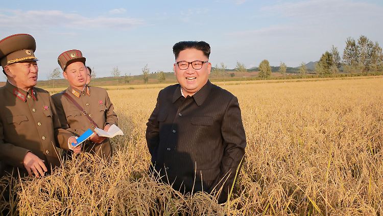 Kim Jong Un inspiziert oft öffentlichkeitswirksam Agrar- und Lebensmittelbetriebe. Wohl auch um dem Eindruck von Knappheit im Land entgegenzuwirken.