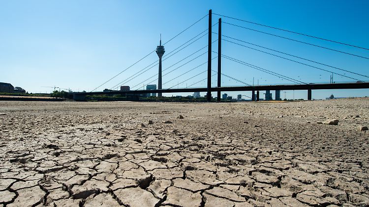 Das Rheintiefwasser kommt Deutschland teuer zu stehen.