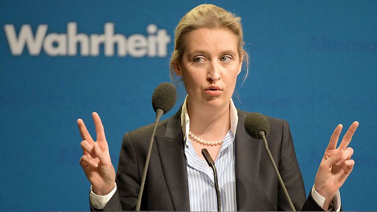 Skandal in Anführungszeichen: Weidel gibt allerdings zu, ihre Partei sei unerfahren in Sachen Parteienrecht und -finanzierung.