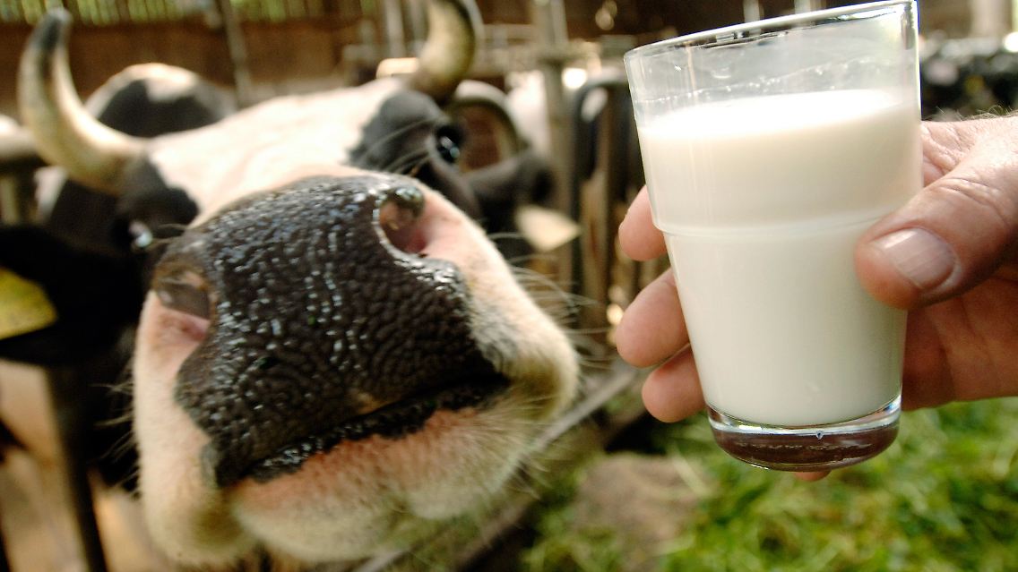 "Die Exportdelle des Jahres 2009 ist überwunden": Deutsche Agrarausfuhren, vor allem Milch, steigen deutlich im.