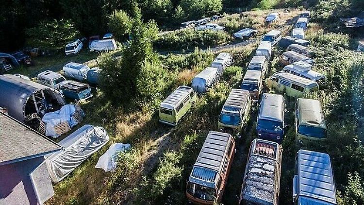 Viel ist auf den Fotos nicht zu erkennen, nur, dass tatsächlich eine ganze Flotte von Bullis im kanadischen Wald zu stehen scheint.