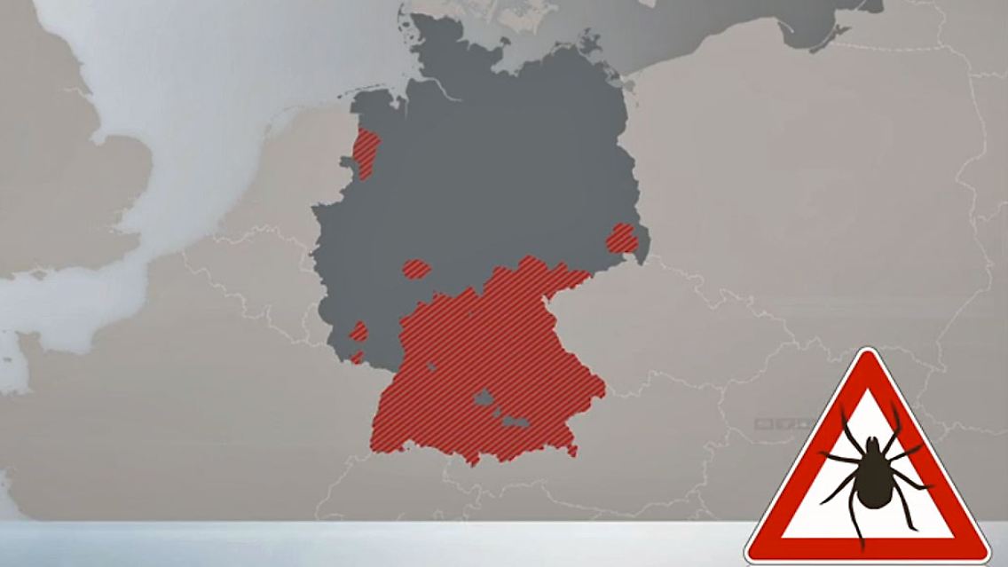 Zecken2019.jpg